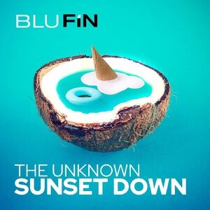 The Unknown - Now Is a Dream [BF328]