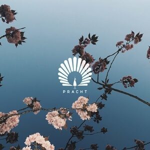 Tube & Berger, Oliver Schories - Caprice [PRACHT11D]