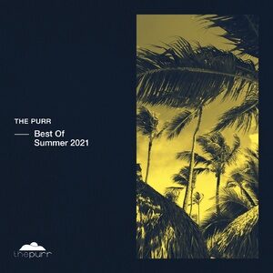 VA - Best of Summer 2021 [PURR287]