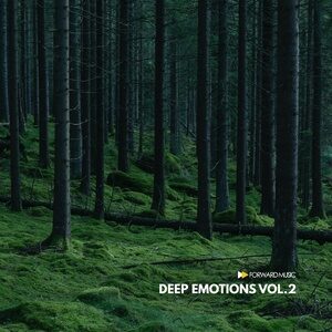 VA - Deep Emotions, Vol. 2 [FM046LP]