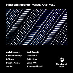 VA - Flexbeat Records - Various Artists Vol. 3 [FBRVA003]