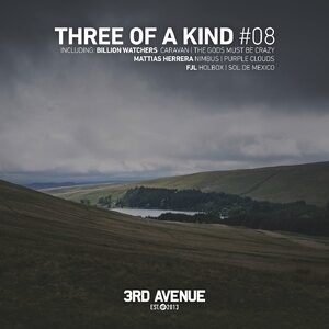 VA - Three of a Kind #08 [3AV252]