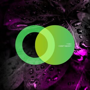 Y do I - I Don't Know Y [AVE085]