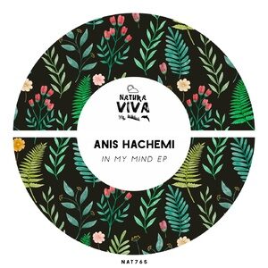 Anis Hachemi - In My Mind Ep [NAT765]