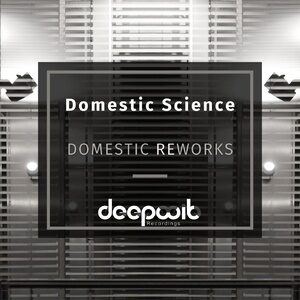 Domestic Science, Steve Gietz, D.M.P - Domestic Reworks [DWR128]