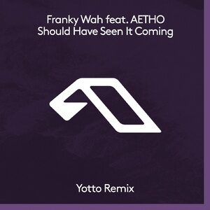 Franky Wah, AETHO - Should Have Seen It Coming (Yotto Remix) [ANJDEE559RBD]