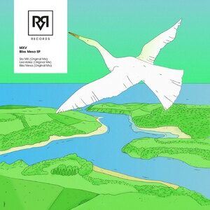 MXV - Bliss Mesa [ARRVLR008]