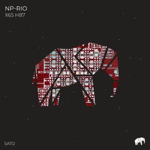 NP-Rio - X65 H87 [SA112]