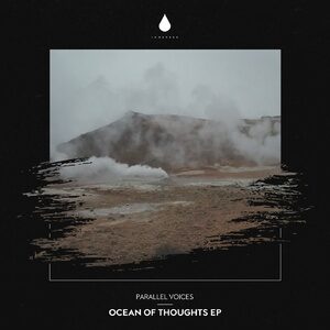 Parallel Voices - Ocean of Thoughts EP [IMM022DJ]