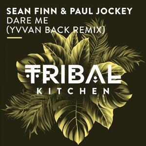 Sean Finn, Paul Jockey - Dare Me (Yvvan Back Remix) [TK099]