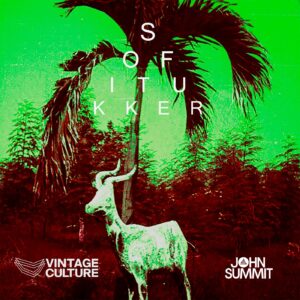 Sofi Tukker - Drinkee - Vintage Culture & John Summit [UL03241]