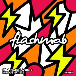 VA - In A Flash, Vol. 3 [FMR185]
