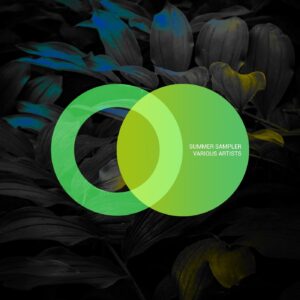 VA - Summer Sampler [AVE089]