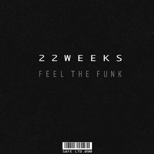 22 Weeks - Feel The Funk EP [SAFELTD090]