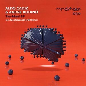 Aldo Cadiz, Andre Butano - Tzu-Mani [MINDSHAKE080]