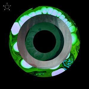Anml Mthr - Wicked City EP [FLASH270]