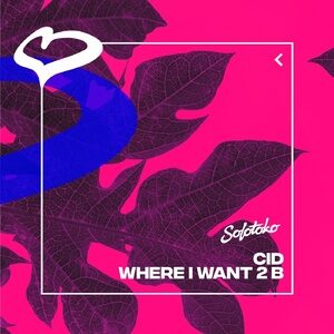 CID - Where I Want 2 B (Extended Mix) [SOLOTOKO092]