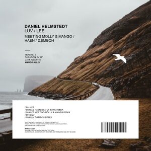 Daniel Helmstedt - Luv / Lee [ALLEY156]