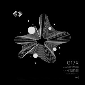 Diploid - Way Too Long [NYC017X]