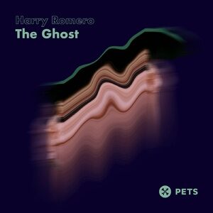 Harry Romero - The Ghost EP [PETS140]