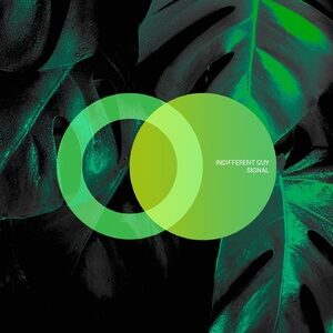 Indifferent Guy - Signal [AVE094]