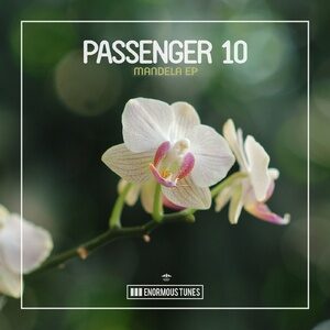 Passenger 10 - Mandela [ETR593]