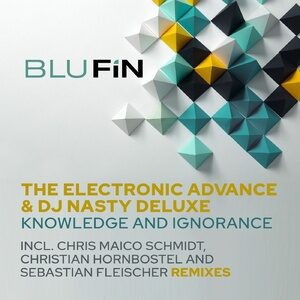 The Electronic Advance, DJ Nasty Deluxe - Knowledge and Ignorance [BF334]