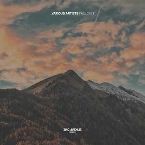 VA - Best of 3rd Avenue | Fall 2021 [3AV055LP]