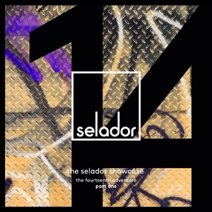 VA - The Selador Showcase - The 14th Adventure, Pt. 1 [SEL140]