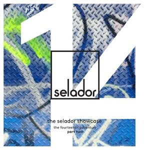 VA - The Selador Showcase - The 14th Adventure, Pt. 2 [SEL141D]