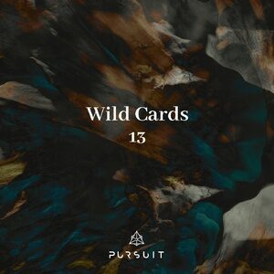VA - Wild Cards 13 [PRST058]