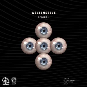 weltenseele - Rebirth [NG0302]