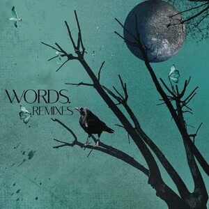 Ahmet Atakan - Words - Remixes [ACKERSPECIAL008]