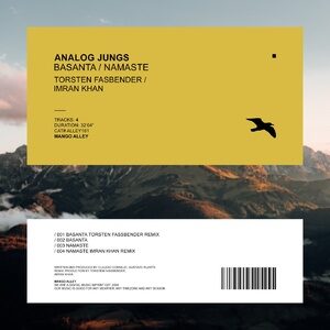 Analog Jungs - Basanta / Namaste [ALLEY161]
