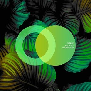 DeepMe - You Don't Understand [AVE098]