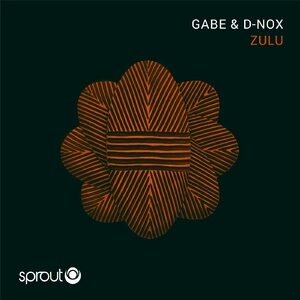 Gabe, D-Nox - Zulu EP [SPT108]