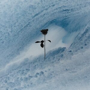 Greg Ignatovich, Alexandros Djkevingr - 86Ing [BRR16]