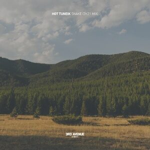Hot Tuneik - Snake (2K21 Mix) [3AV262]
