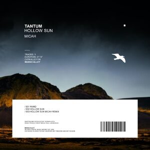 Tantum - Hollow Sun [ALLEY158]