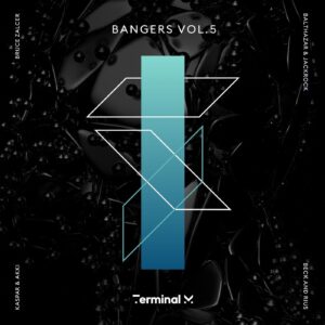 VA - Bangers, Vol. 5 [TERM203]