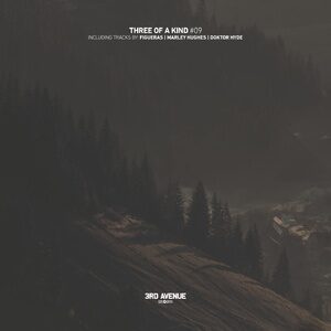 VA - Three of a Kind #09 [3AV263]