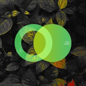 Y do I - I Know [AVE096]