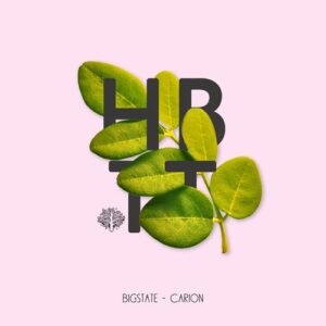 Bigstate - Carion [HBT366]