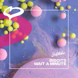 Biscits - Wait A Minute (Extended Mix) [SOLOTOKO098]