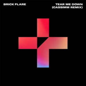 Brick Flare - Tear Me Down (CASSIMM Extended Remix) [190296488177]