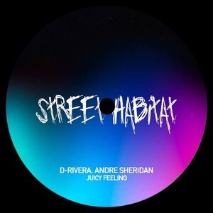 D'Rivera, André Sheridan - Juicy Feeling [STH189]