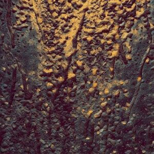 Dean Gustavsson - Djungelns Lag [DGMUSIC7]