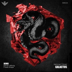 Mehmet Özbek - Galactus [10206056]