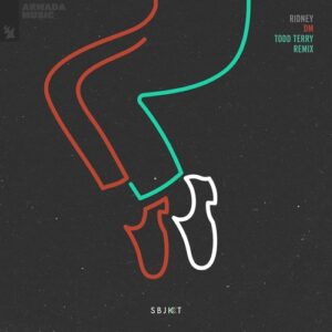 Ridney - DM - Todd Terry Remix [ARSBJKT105R]