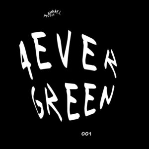 VA - 4evergreen 001 [APL4VRGRN001]